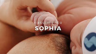 O Nascimento Da Sophia Maternidade Casa De Saúde