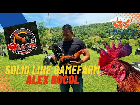 Solid Line Gamefarm Alex Bocol