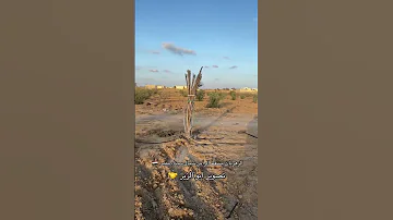 يا مرحب عد المخيله ترحيب الوافي بكيله 