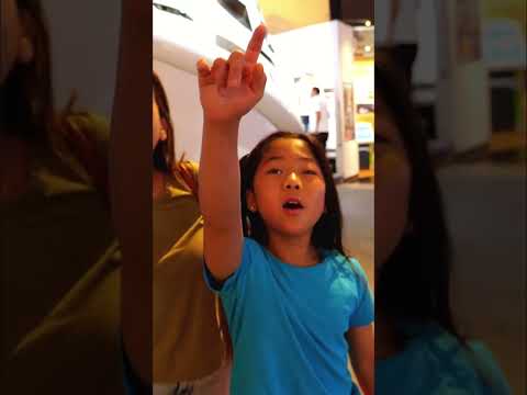 REAL LIFE Rocket Thrusters used to go to the moon!