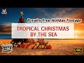 Tropical Christmas by the Sea | Festive Tree &amp; Sunset Waves | Royalty Free Holiday Footage | VM1174