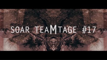 SoaR: Multi-Cod Teamtage #17 by Cristo & Mentor