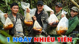 Mật Nặng Trĩu Tay, Bội Thu Trở Về - Tho Rung