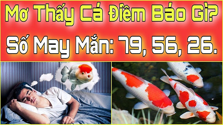 Mơ thấy cá to là điềm gì