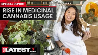 Huge uptake in medicinal cannabis usage  | 7NEWS