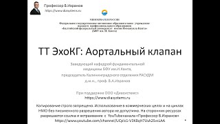 Основы ЭхоКГ: исследование аортального клапана.