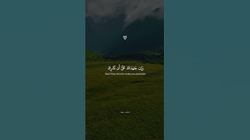 ووصينا الانسان بوالديه حملته امه وهن على وهن || من سورة لقمان تلاوة خاشعة جدا اسلام صبحي .