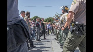 Drone footage of activists storming a factory farm! 40 Arrested for saving animals