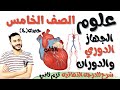 علوم الصف الخامس الترم التاني ٢٠٢٢ الدرس الثالث جزء ١ الجهاز الدوري والدوران