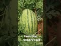 @#fairy bhai@ Tumkur 🍫jubliking top maal super maal #9964721434,##