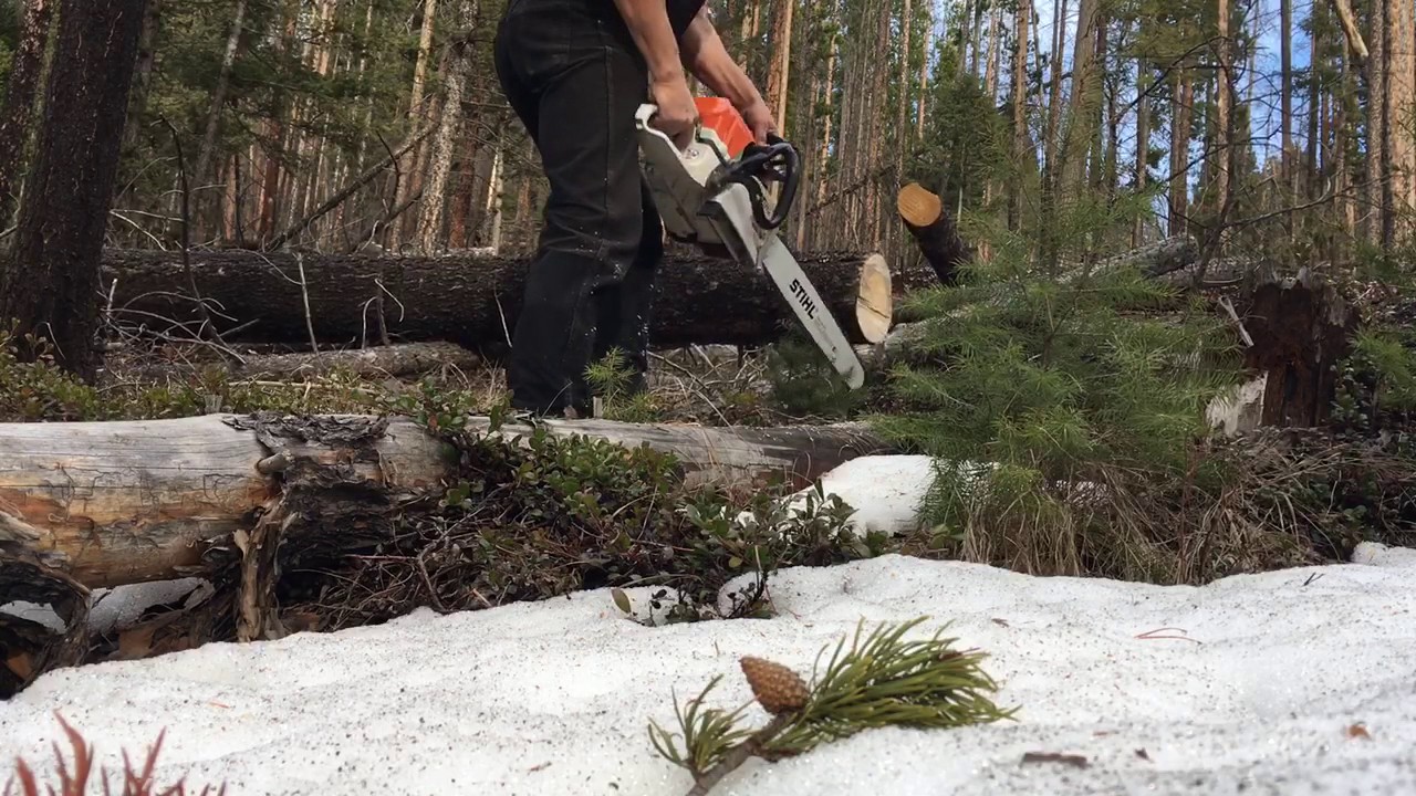 Pinching A Chainsaw Bar In A Log YouTube