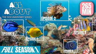 FULL Season 1 All About Documentary Series | 10 Species, One Ocean