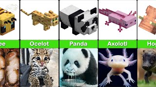 Minecraft Baby Animals in Real Life - Comparison