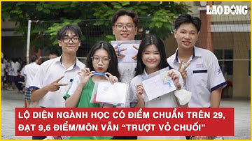 Lộ diện ngành học có điểm chuẩn trên 29, đạt 9,6 điểm/môn vẫn “trượt vỏ chuối”