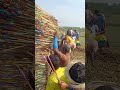 Archery competition # trending video # bhanj disom vlog