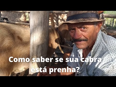 Vídeo: Como liberar sua mente: 11 etapas (com imagens)