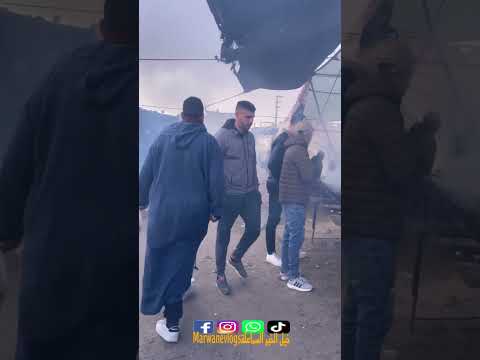 الله الله اجواء سوق وادي زام السماعلة السماعلة الحرار ميدوزو عار