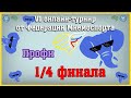 VI онлайн-турнир. Четвертьфиналы в категории &quot;ПРОФИ&quot;