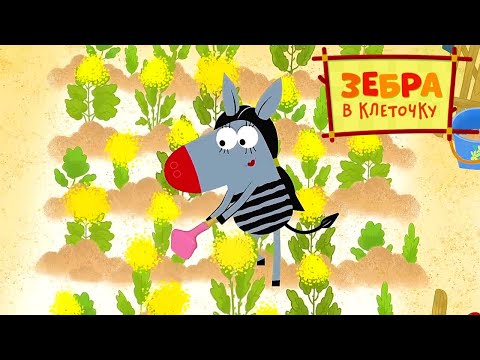 Зебра в клеточку 🌿 Праздник урожая 🌿 Мультики для детей 🦓 Зебра в клеточку - официальный канал