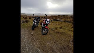 Bike Night or Not to Bike Night