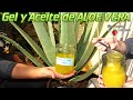 Gel y Aceite de Aloe Vera