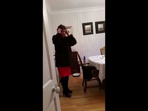 dog-eats-christmas-turkey-prank