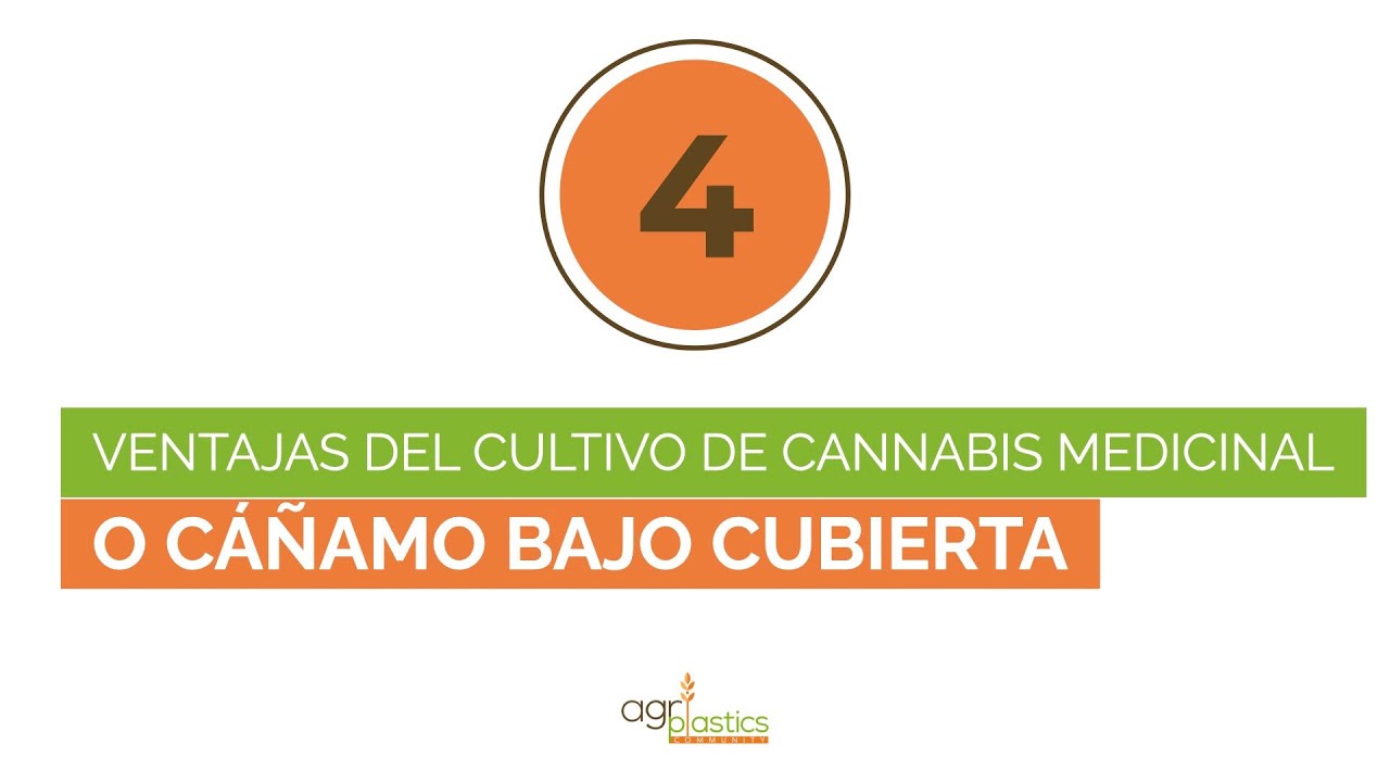 4 ventajas del cultivo de cannabis medicinal o cáñamo bajo cubierta