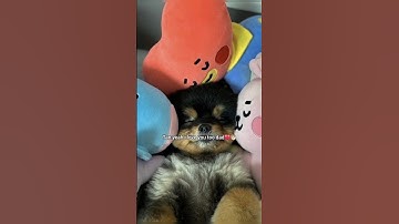 I cried so much while editing this video💔 #shorts #taehyung #yeontan #bts