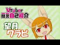 【自己紹介】VTuber一問一答自己紹介【望月ワラビ】