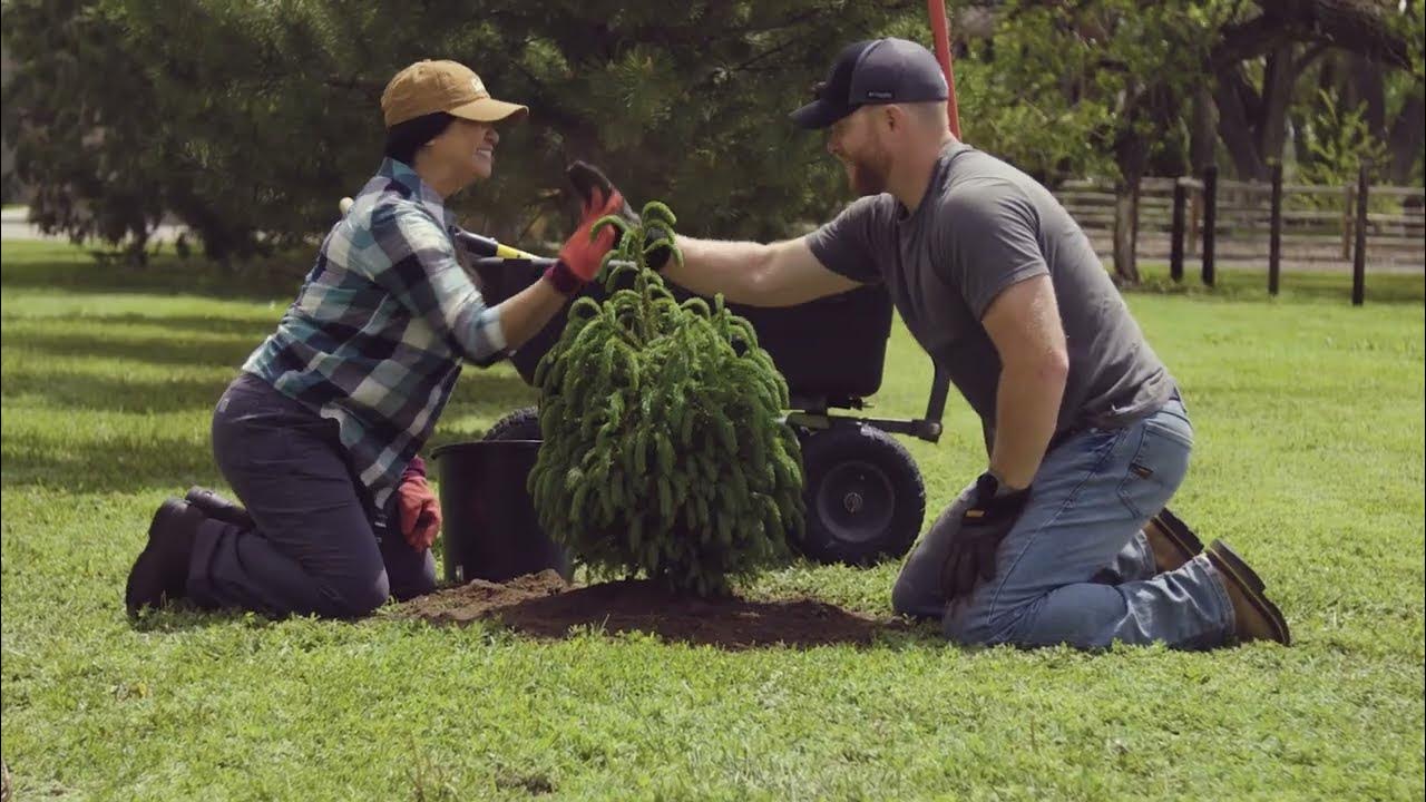 5-steps-to-safe-digging-youtube