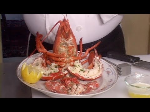 Maine Lobster- Boiled Whole & Presented