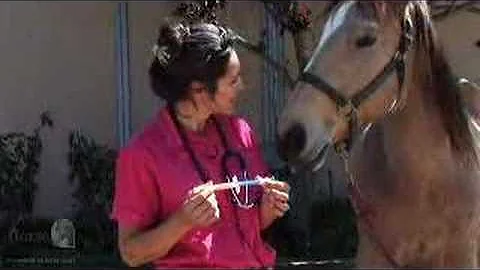 Horse Deworming Tutorial Video