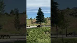 Video of Lava Campground, ID from Jeremy H.