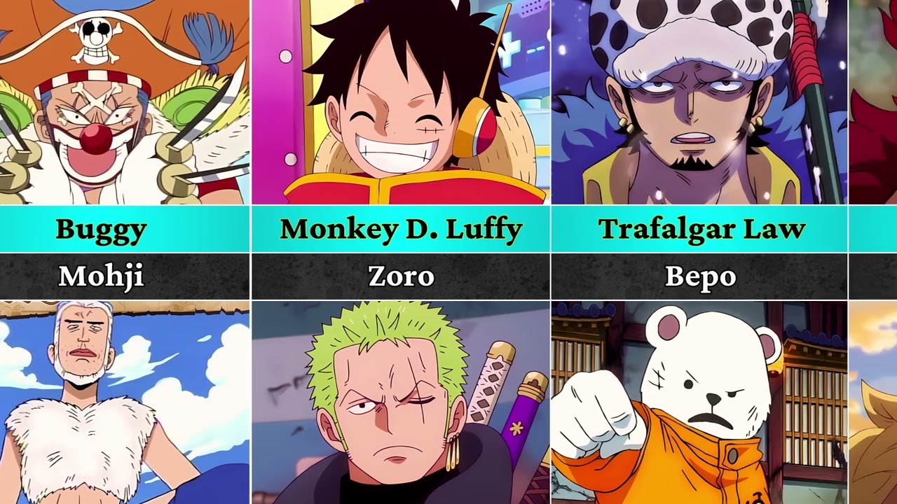 One piece Characters And Their Right Hand