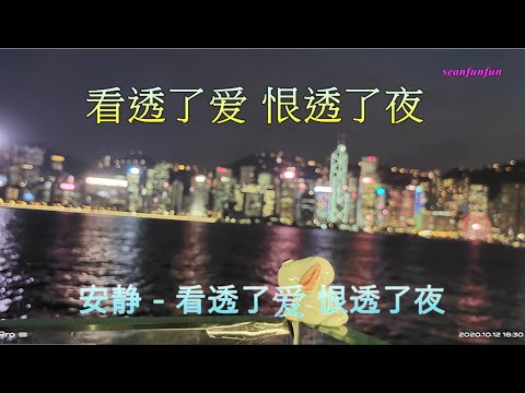 【看透了爱恨透了夜】演唱： 安静