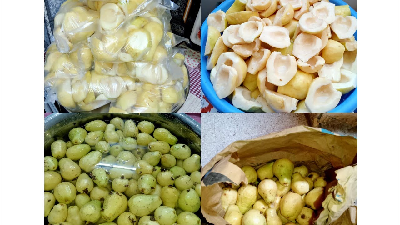 طريقه تخزين الجوافه وتقعد معك من السنه للسنه 🍐🍐 ودي طريقتي في تخزين الجوافه 🍐🍐🍐