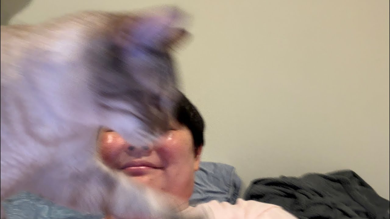 やす子の突然生配信！