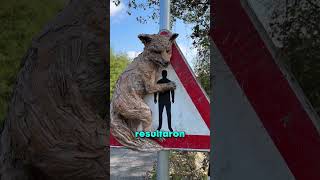 ASÍ PUEDES MANTENER TU BARRIO SEGURO!! 😯