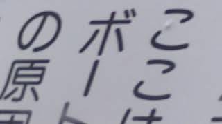 第45回全日本大学選手権大会 男子エイト 準決勝