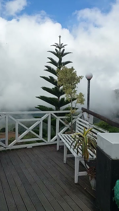 Bayu senja lodge kundasang sabah