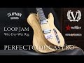 Wet-Dry-Wet rig! Chapman ML-7T Victory V30 loop jam