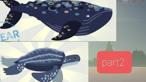 hướng dẫn cách câu cá voi xám và rùa sống lâu