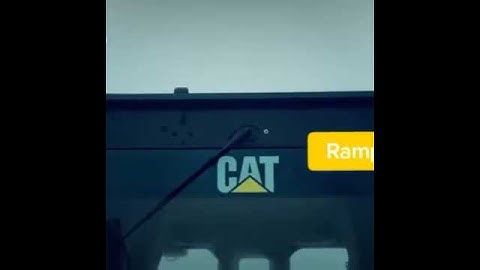 cat grader states video