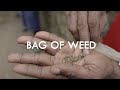Bud Kompany BAG OF WEED Ft Mikkadllly Official Music Video Bud Kompany BAG OF WEED Ft Mikkadllly Official Music Video