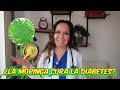 La MORINGA cura la diabetes? Dra. Tejeida Melissa