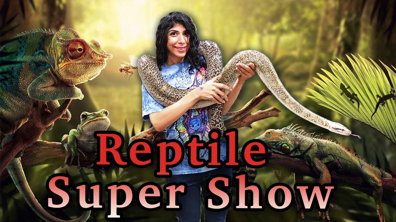 Reptile Expo Vlog 20 YouTube