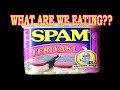 SPAM Teriyaki FRIED RICE! - WHAT ARE WE EATING?? - The Wolfe Pit
