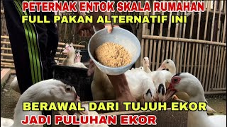 FROM SEVEN TO DOZENS, MUSHROOM FARMING ON A SCALE