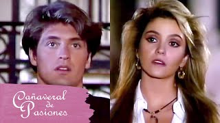 Cañaveral de pasiones: Julia y Pablo se reencuentran | C-16 | tlnovelas