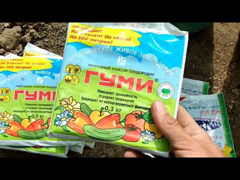 Video: Sharob kompost uchun yaxshimi – vinoni kompost qilish haqida ma'lumot